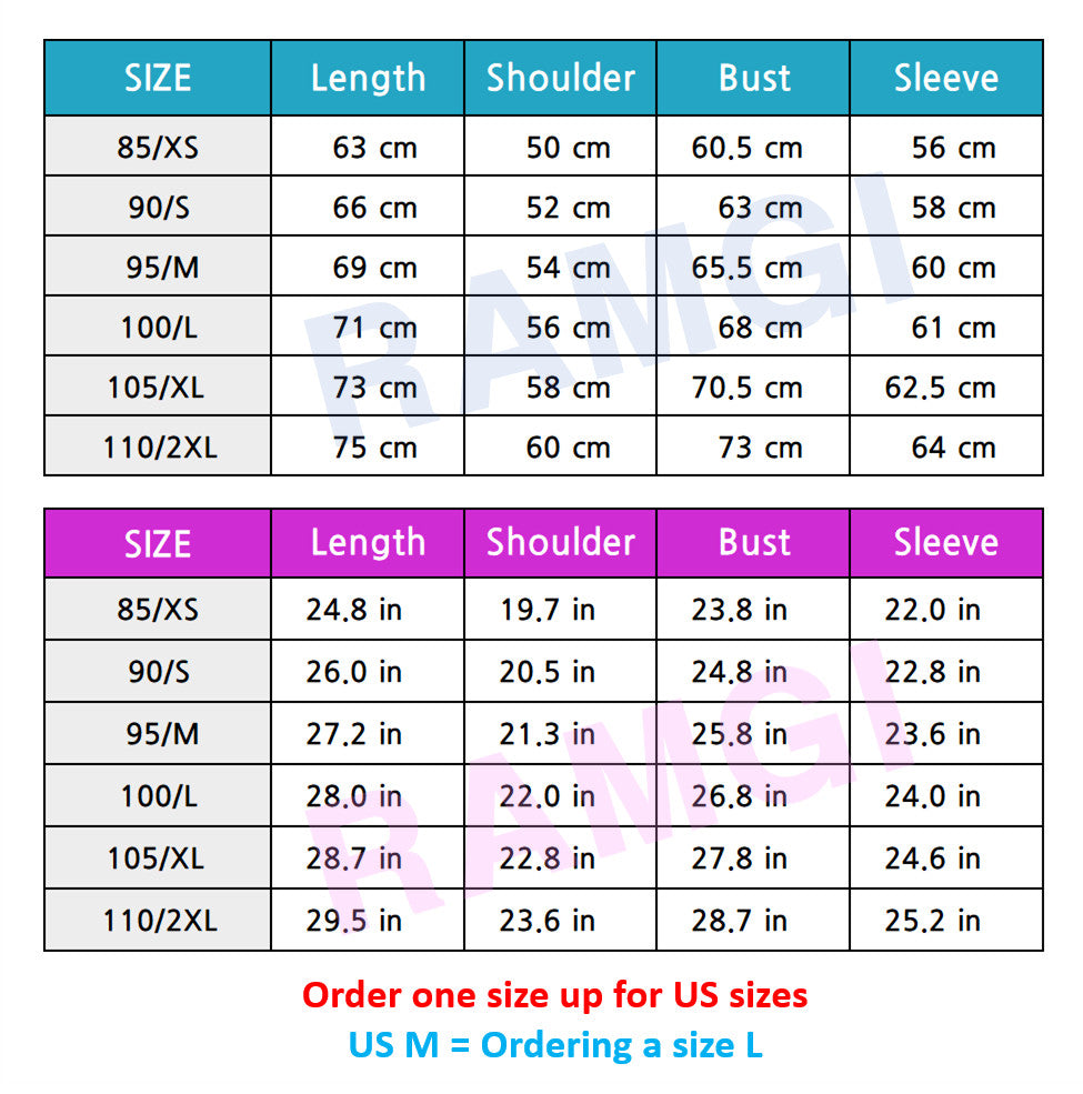 The North Face Korea WHITE LABEL DURON DOWN JACKET PERTEX (RDS) NJ1DR57K SILVER ASIAN FIT